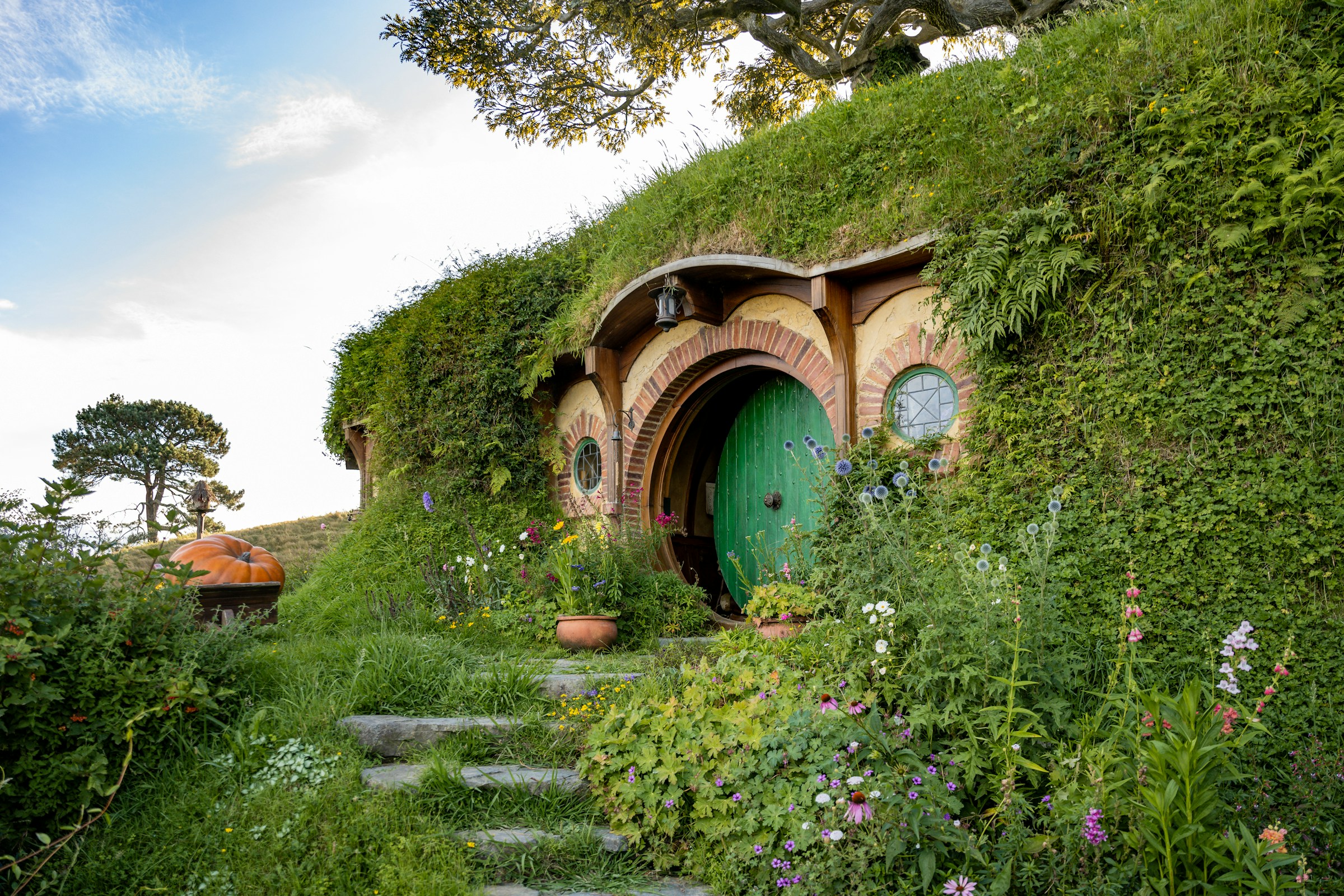 Hobbiton Movie Set, Matamata
