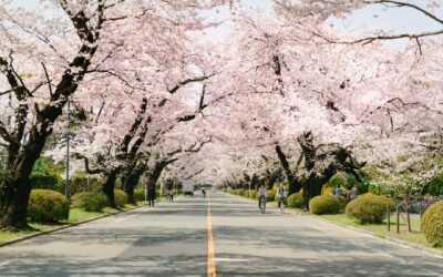 20 Top Tourist Attractions in Japan
