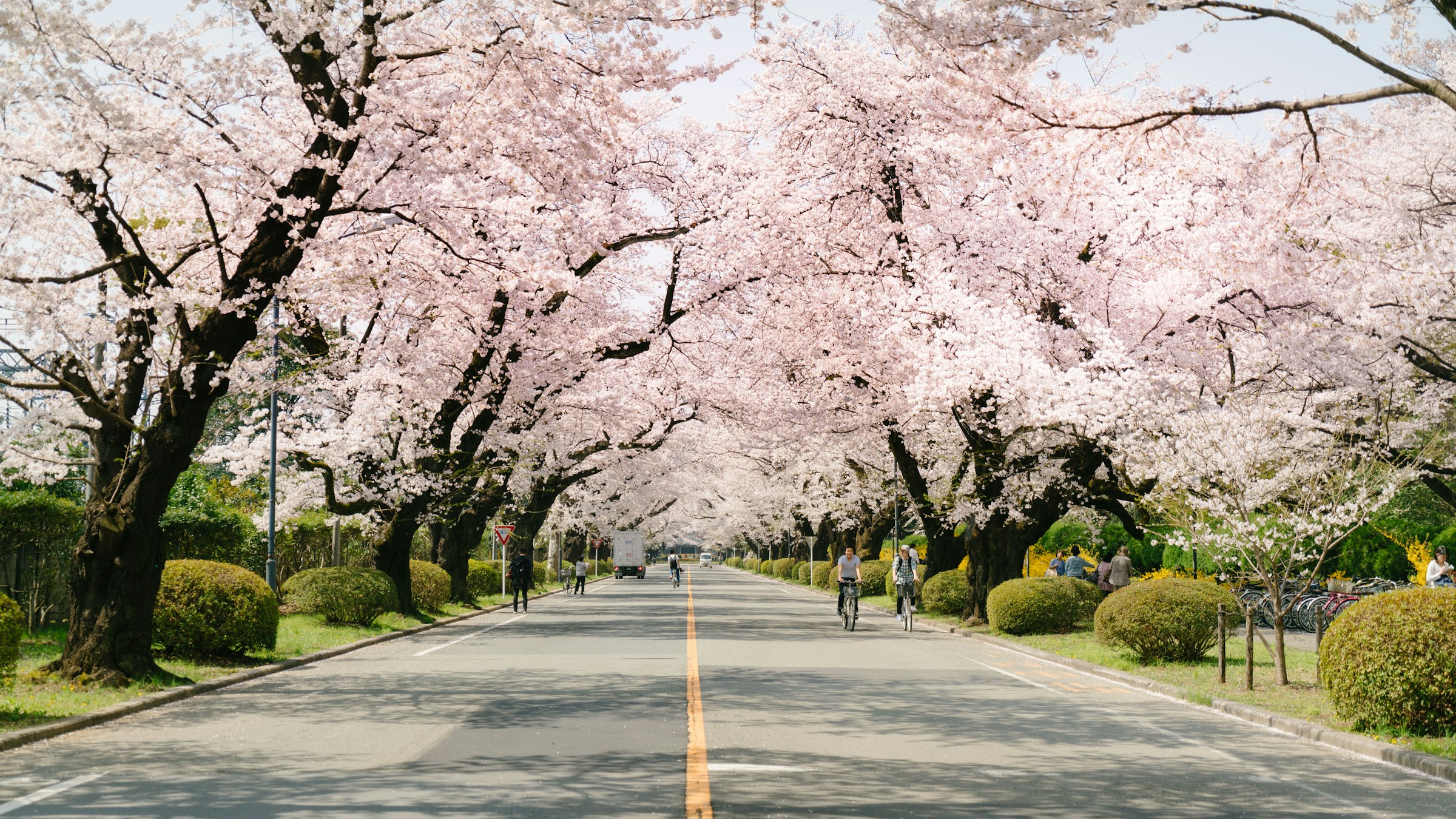 Attractions in Japan