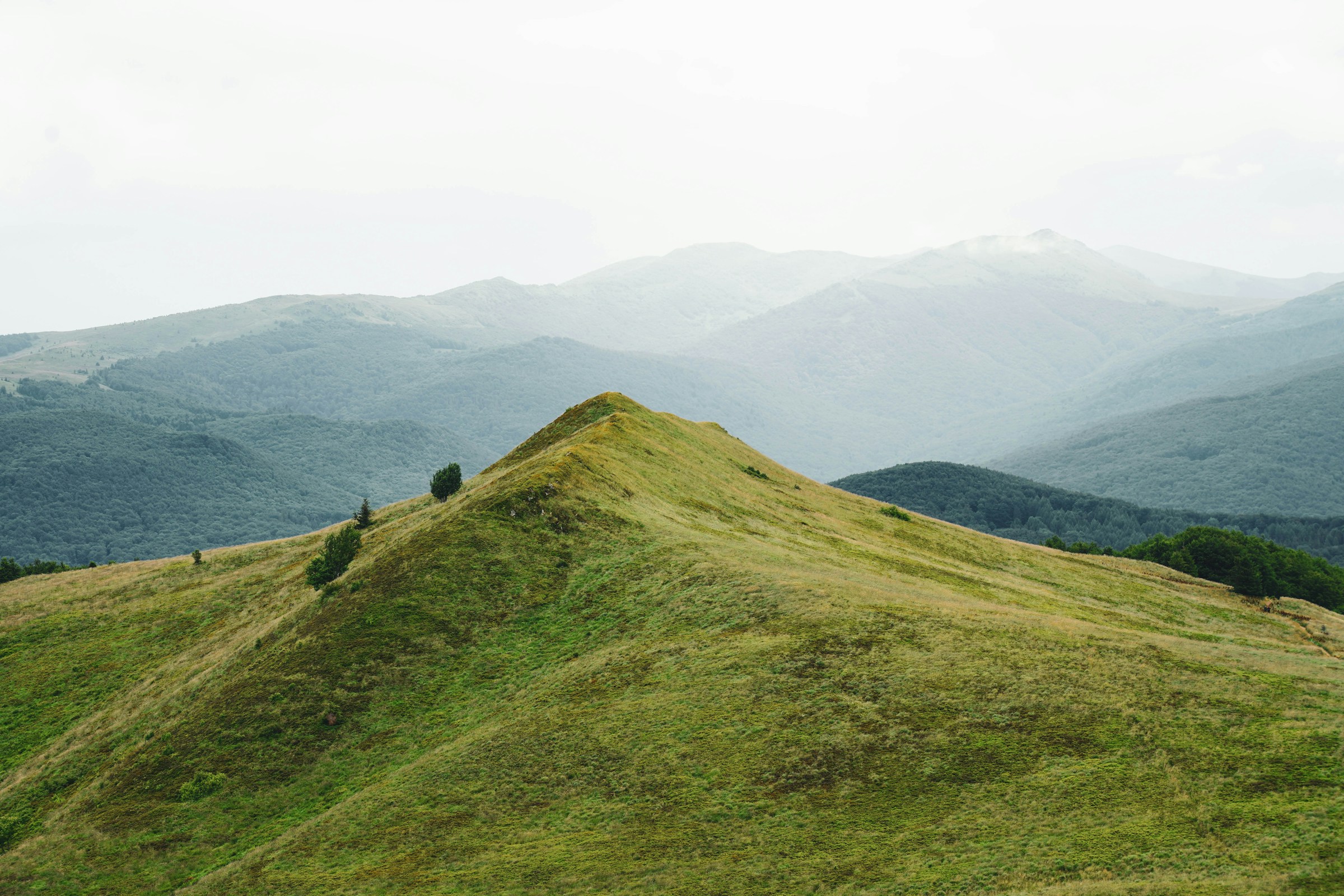Bieszczady Mountains
