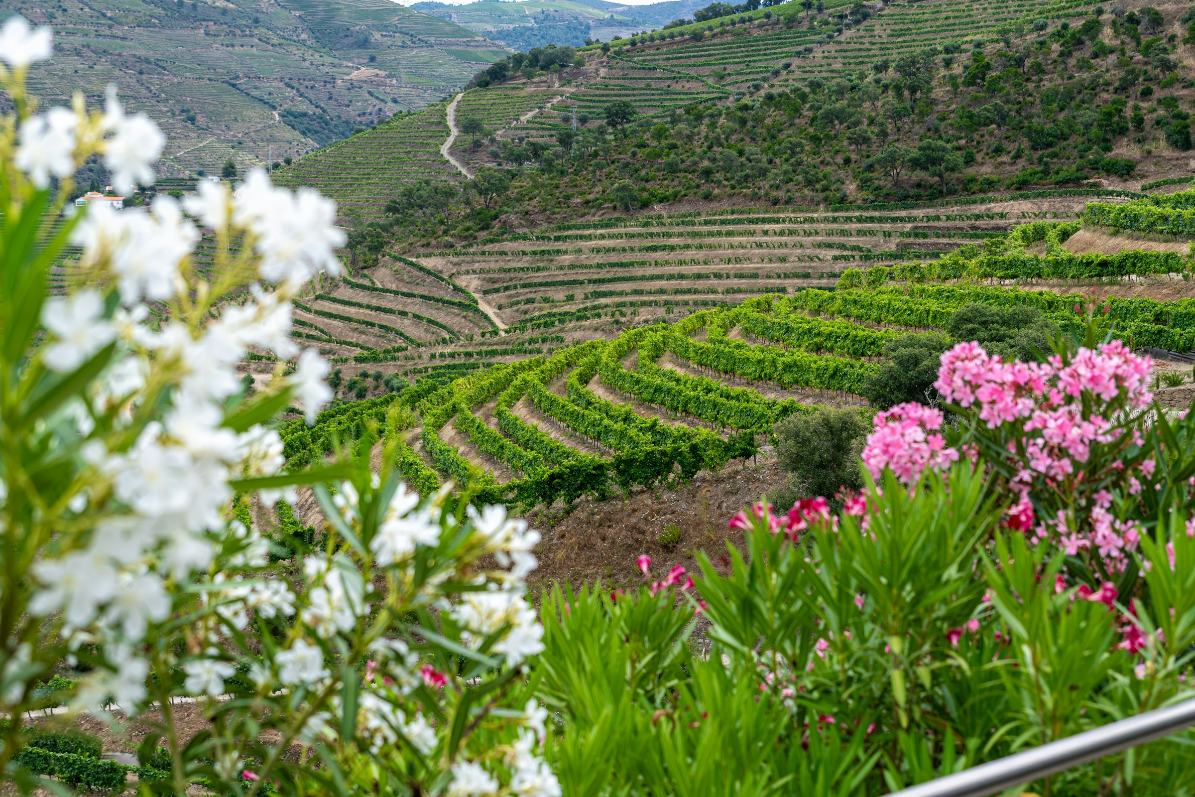 Douro Valley