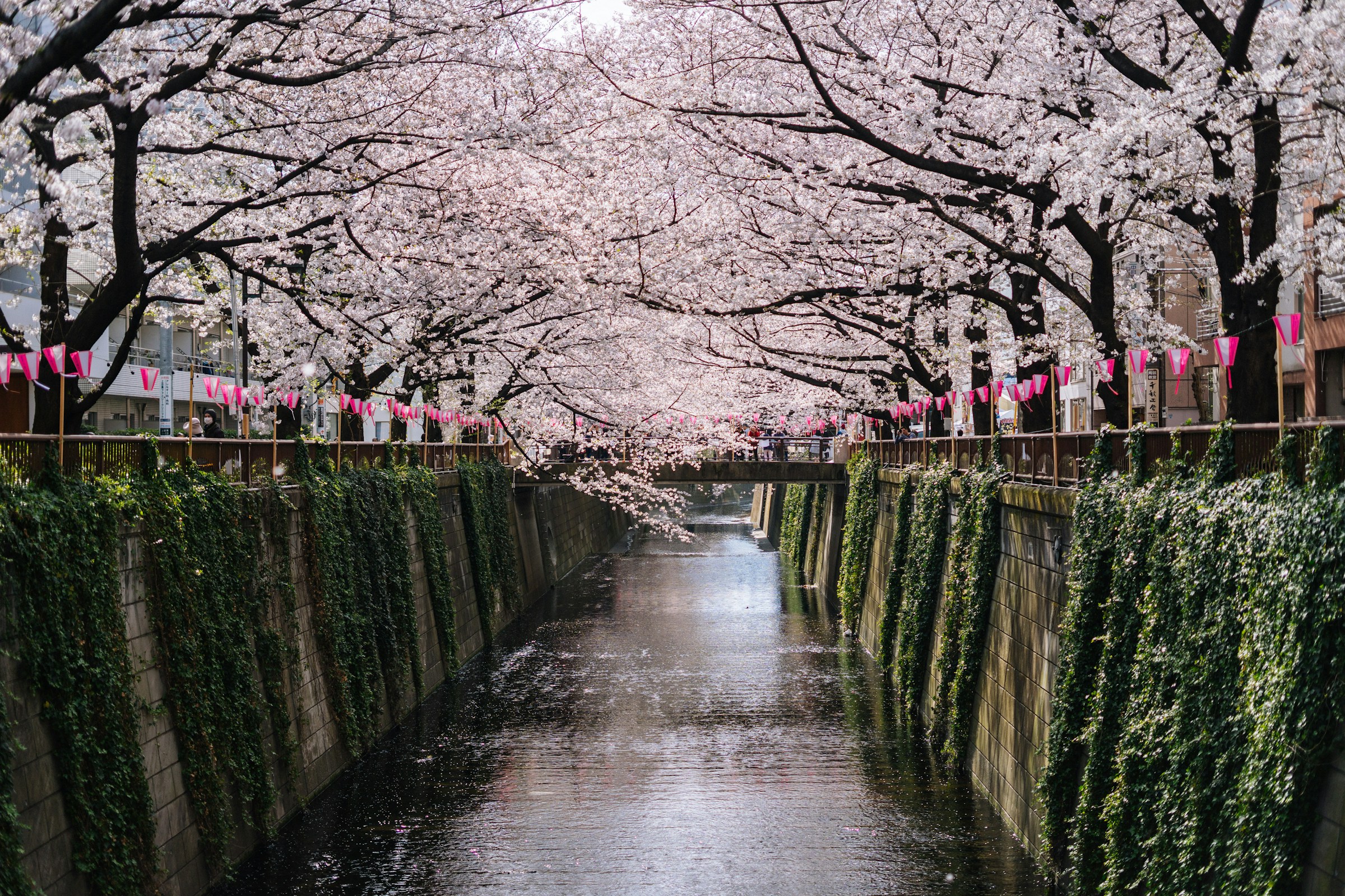 Meguro River