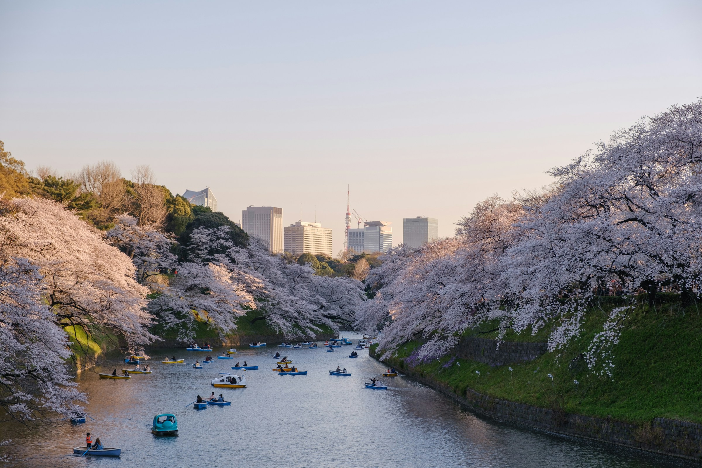 Tokyo City