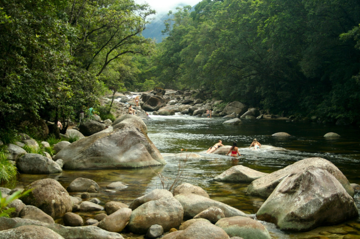 Daintree Rainforest, Queensland
