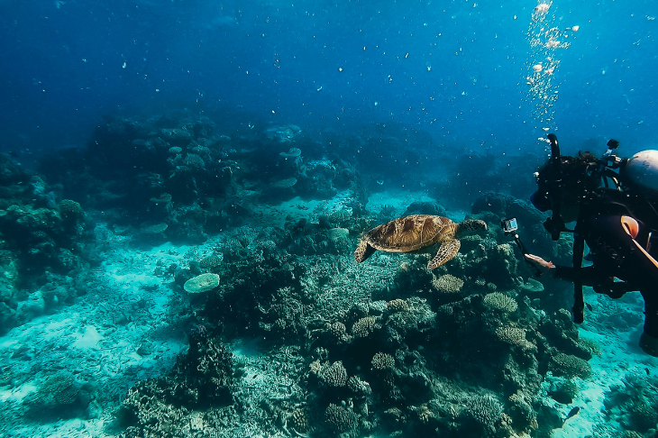 Great Barrier Reef, Underwater in Queensland